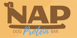 Logotipo NAP